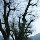 거가대교 관광안내소 이미지