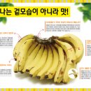 (주)진원무역 이미지