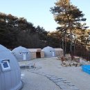철원포레스트 이미지
