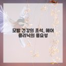 헤어가이드 이미지