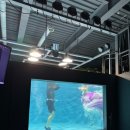 수담 | 특별한 만삭사진 수중만삭촬영 수담스튜디오 후기