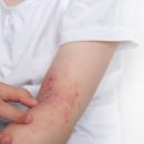 한국문화공간협회 이미지