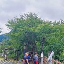 정선초등학교가수분교장 이미지