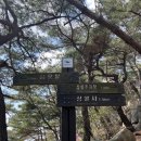 다음매일투어/산악회