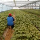 서인농장 이미지