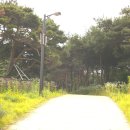 안중레포츠공원 Daum카페