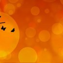 오션타운어린이집 이미지