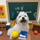 에이치에스교육