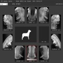 365 신원당 동물병원 이미지