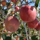 (주)대전사 이미지