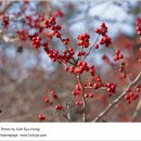 변증의 새 이미지