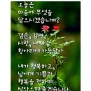 ⁉️약물 오남용의 예방 방법"🆘️마약중독의 기초 상식. 🆘️유해동물 길'고양이 기생충 감염' ⚠️악성역병 전파감염' 예방" 이미지