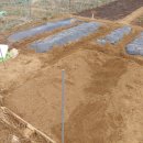 부목농장 이미지