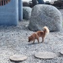 0815-0816 부산-속초(양양) 왕복 13시간 데이트 후기