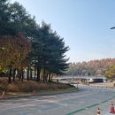 아름다운 숲길 화장실 | 이제 막바지. 걷기좋은 천안 독립기념관 단풍나무숲길