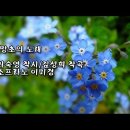 물망초 이미지