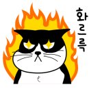 카페탑모터스 이미지