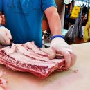 양지위생 이미지