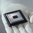 Pacific BUBBLES 이미지