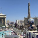 유) 라스베가스 이미지