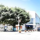 송현리 효자정문 이미지