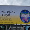 판타지아1950 이미지