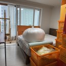 일류익스프레스 이미지