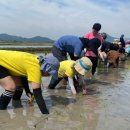 인안초등학교 이미지