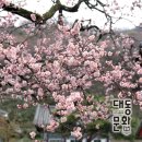 남도문화마루