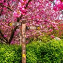 완산공원(아래) 이미지