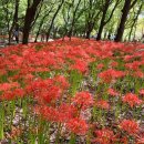 일상의 하루 이미지