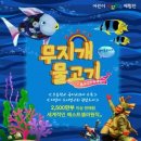 무지개물고기 이미지