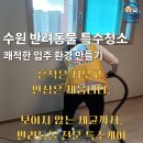 수원-0959 네이버블로그