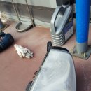 애니카랜드 함안점 이미지