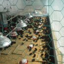 무등산 농원 이미지