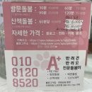 에이쁠 | 영도매직 에이쁠헤어 후기 및 주차 매직스트레이트 영도복구매직 두피케어 모발생장술 반려견 반려묘...