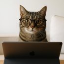 컴퓨터활용능력(자격,연간) 이미지