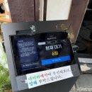 두꺼비 애견 이미지