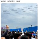 인생스콘