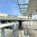 행복가득여행사 | 겨울 제주도 단체 여행 제주도 여행사 추천