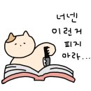 삼일원앙A 이미지