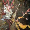 남해-315 이미지