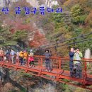 율어초교 Daum카페