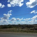 임선농장 이미지