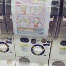 토이 뽑기랜드 4호점 | 대구 동성로 가챠 투어 / 히든토이 / 토피코 / 원피규어 / 꽁주가챠