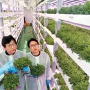 김호영농장 이미지