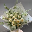 로얄파크장 이미지