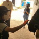 퀸즈승마장 이미지