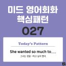 [중급편 027] 'She wanted so much / [to-v~]'(그녀는 정말 v동사하고 싶어 했어) 이미지