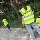 용인대 석사 서울시 대표 태권도 이미지